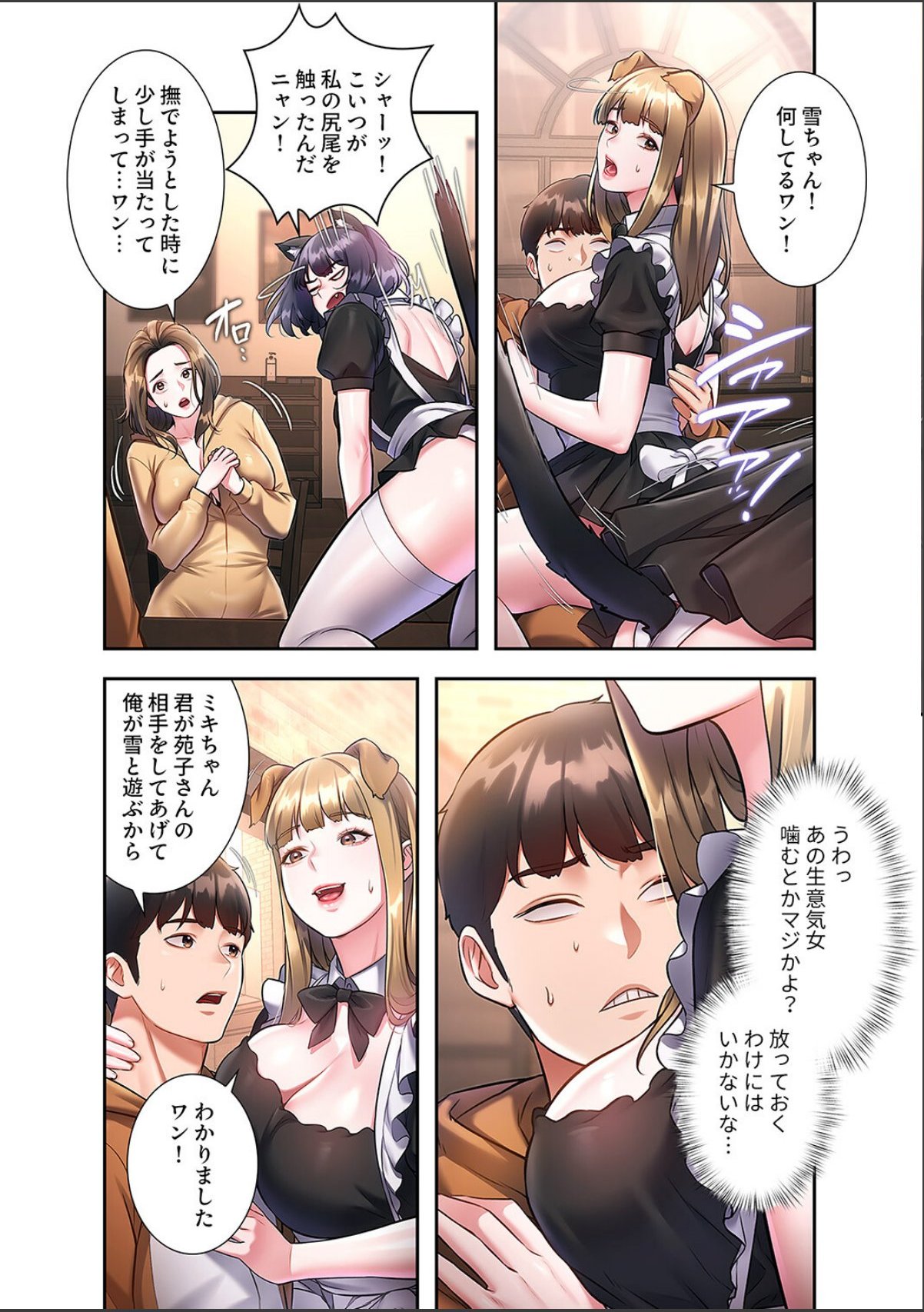 sample 6
