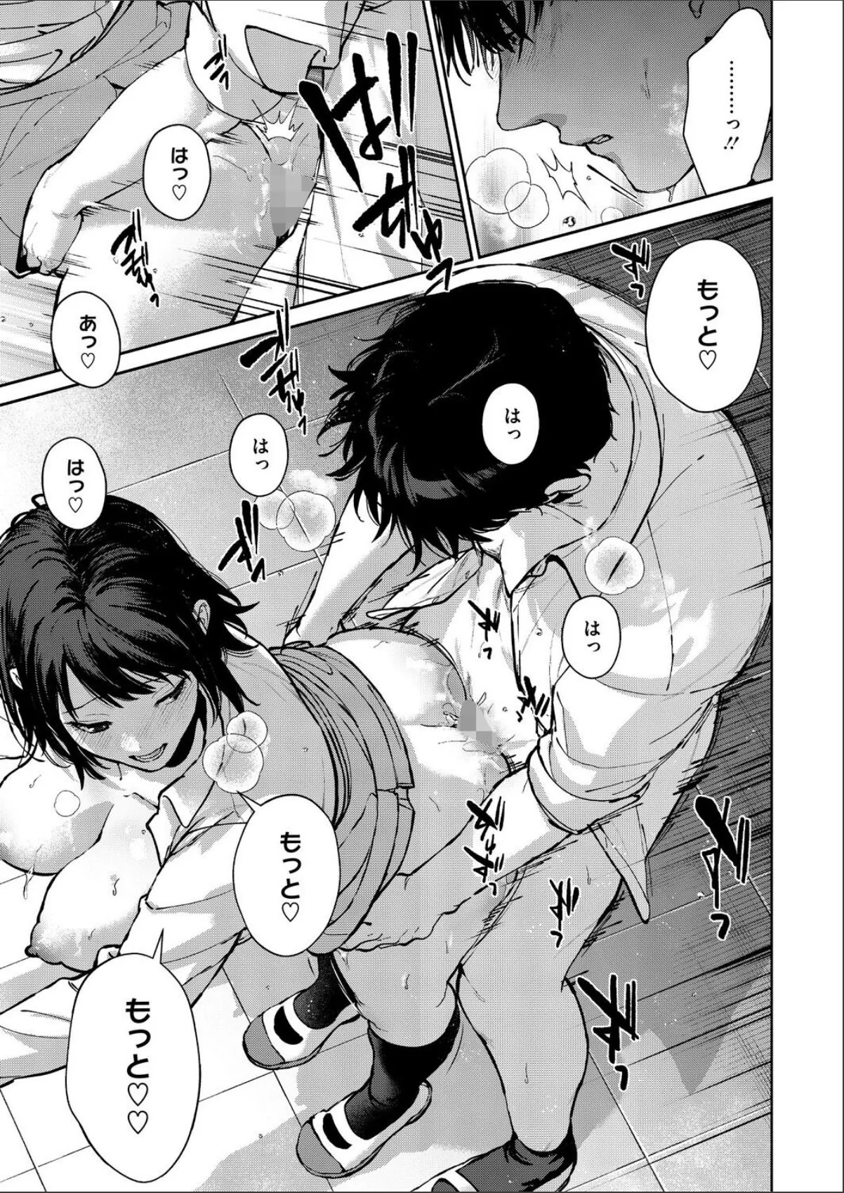 sample 5