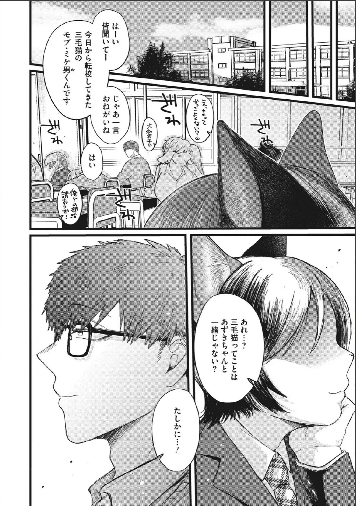 sample 4