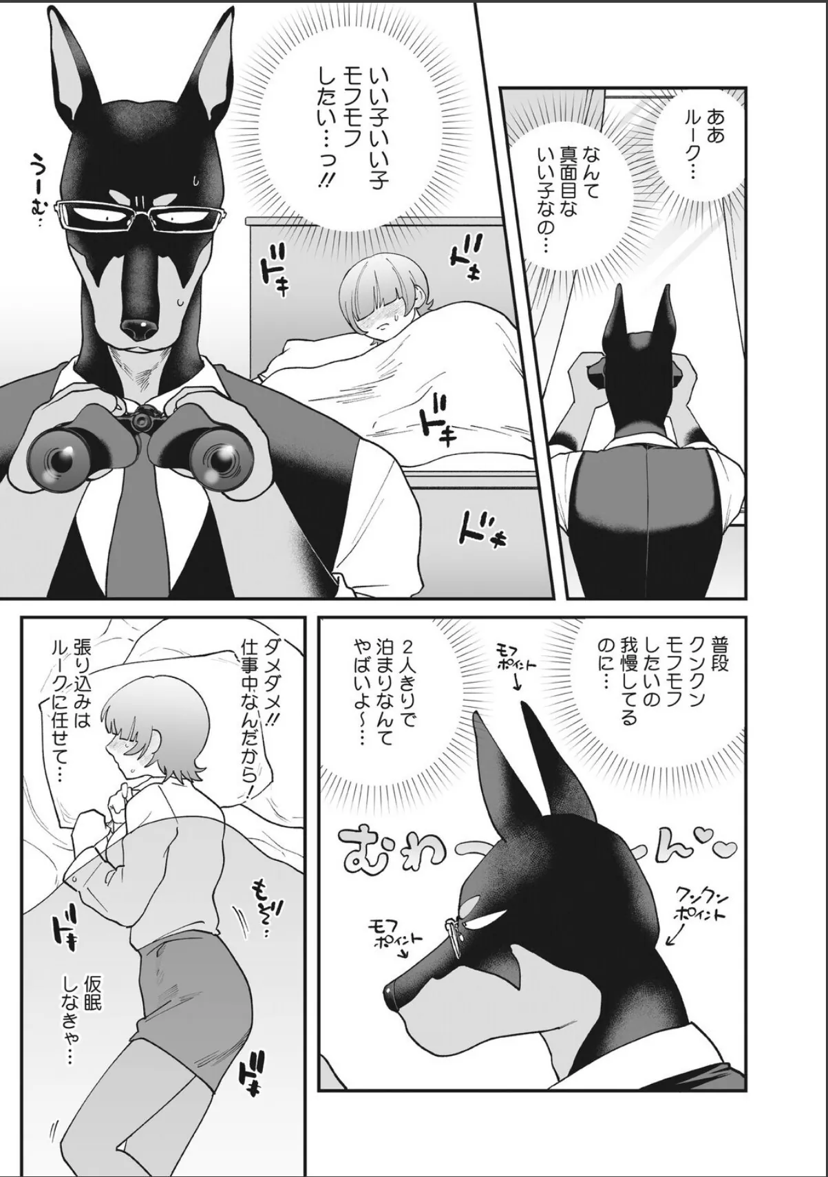 sample 5