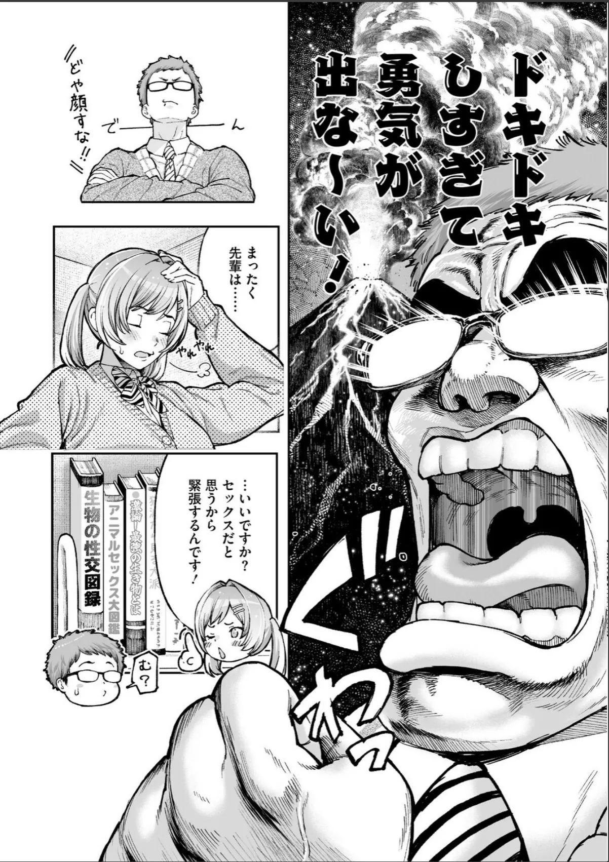 sample 4