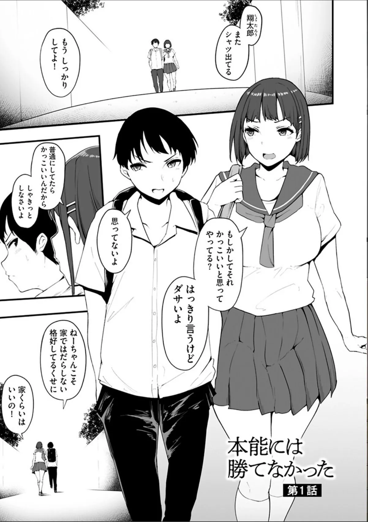 sample 5