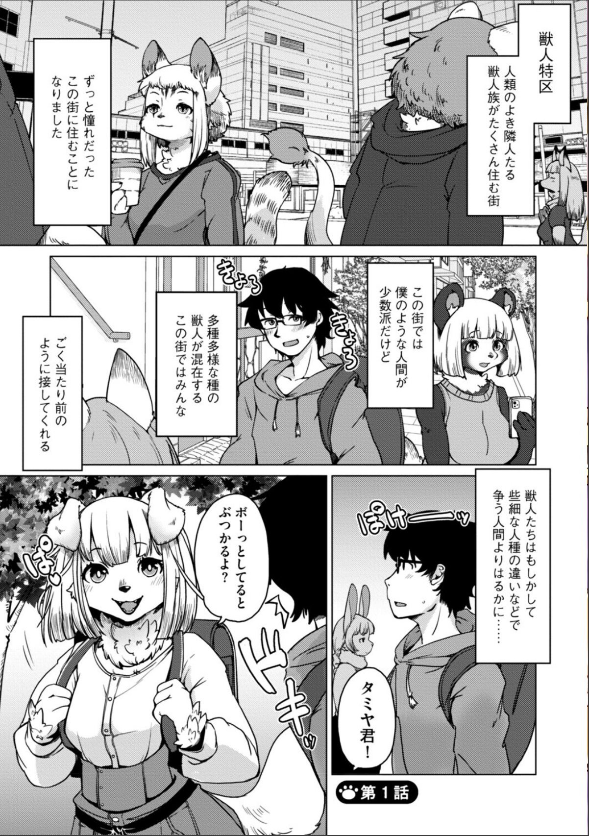 sample 5