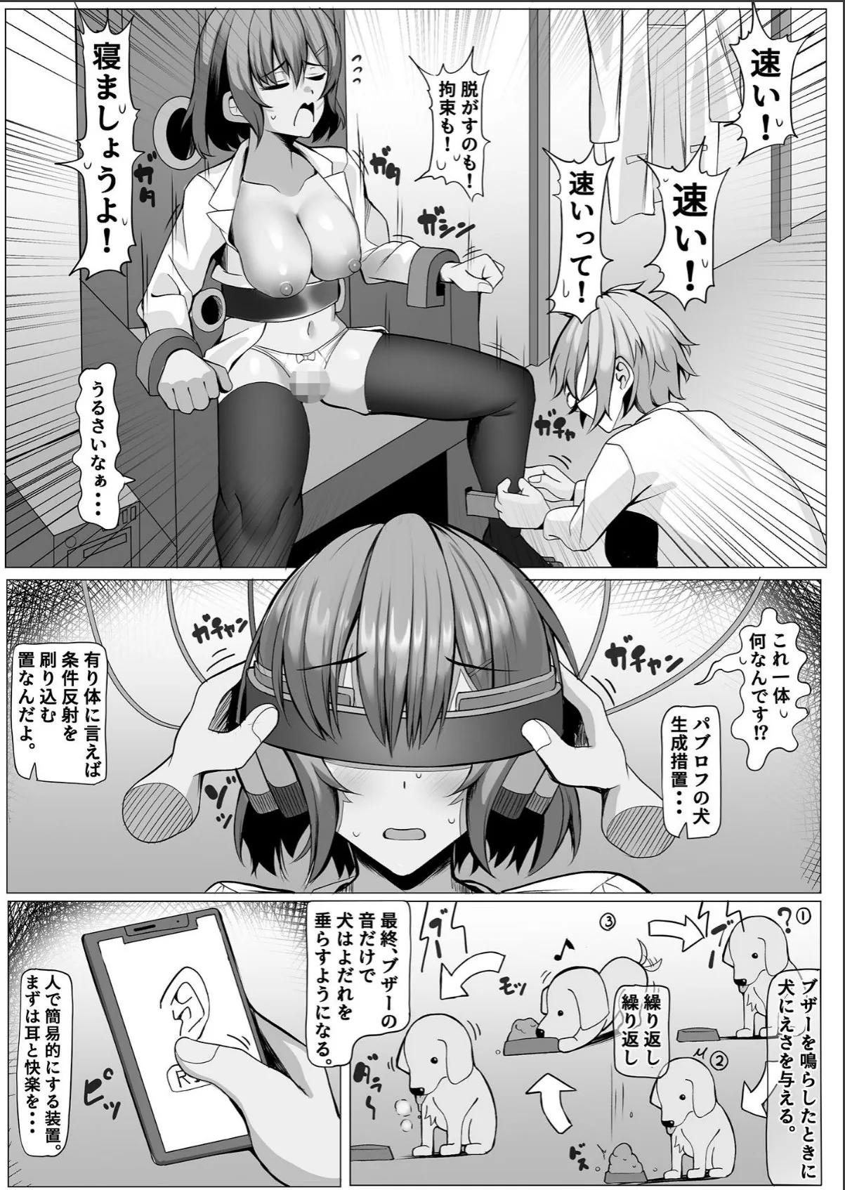 sample 5