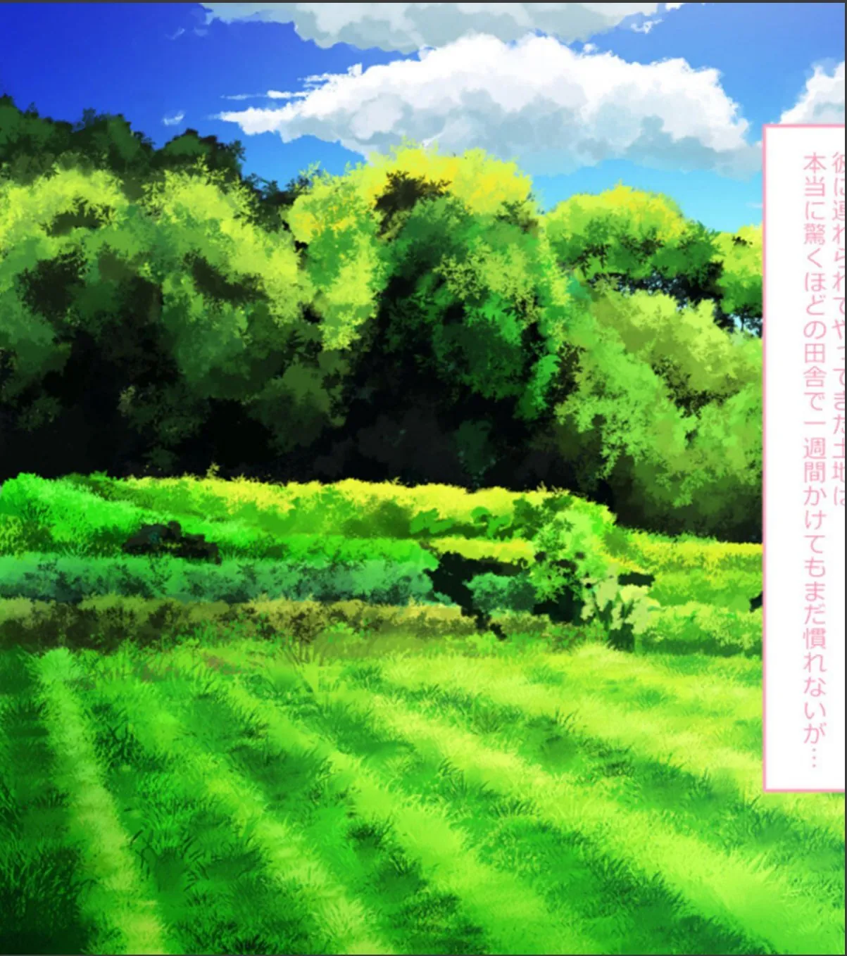 sample 5