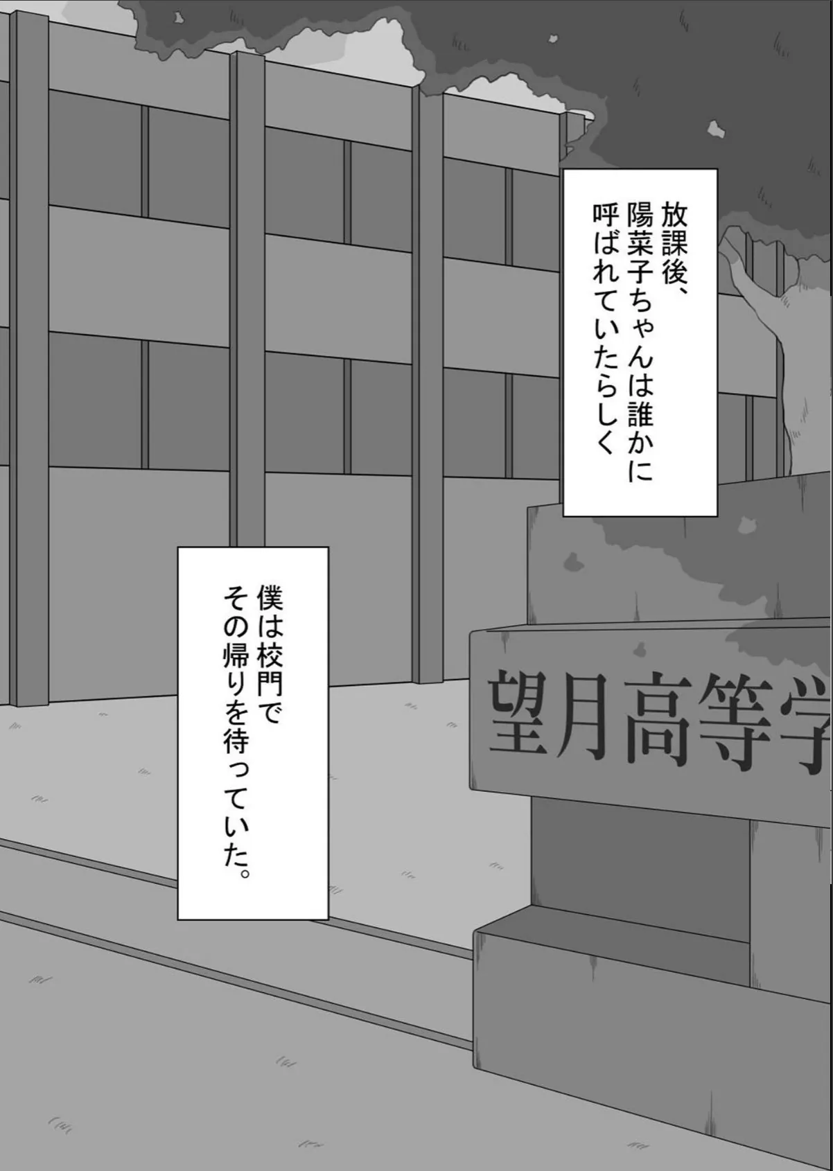 sample 11
