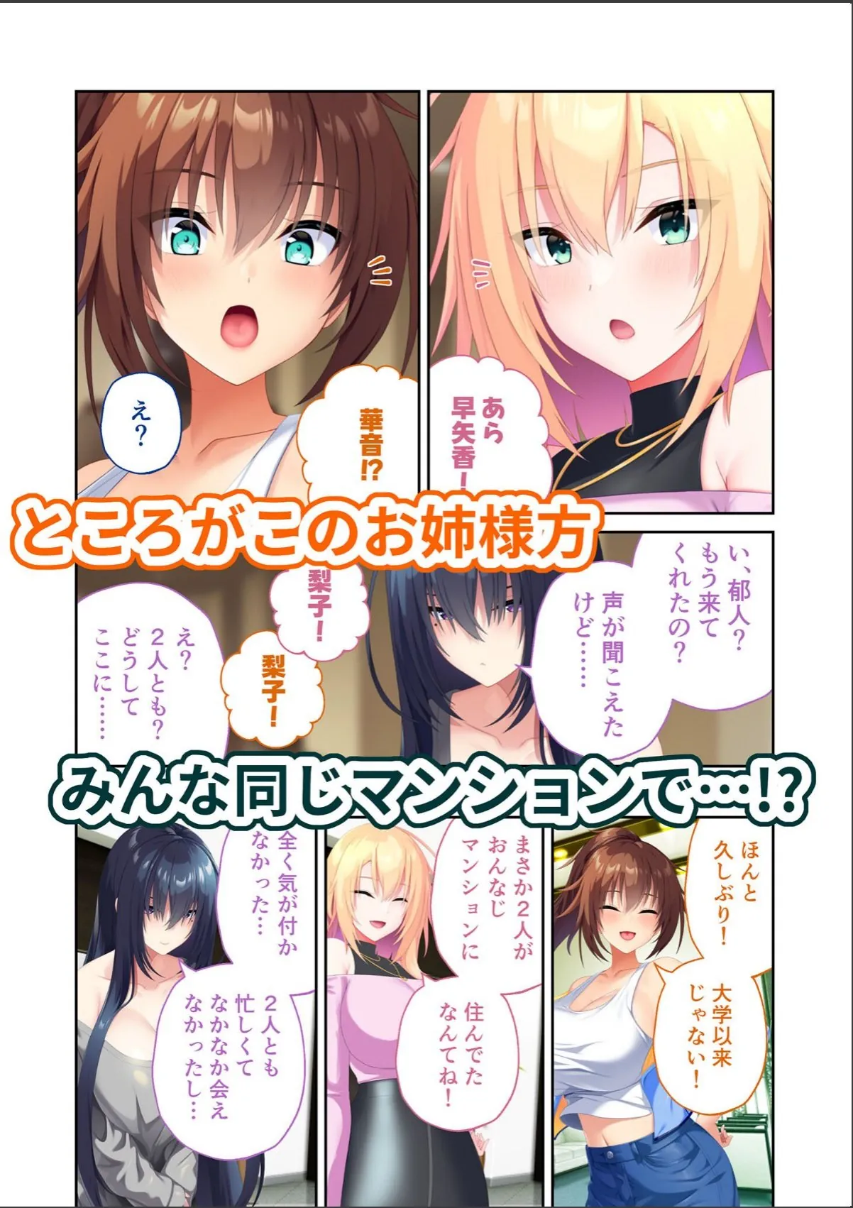 sample 5