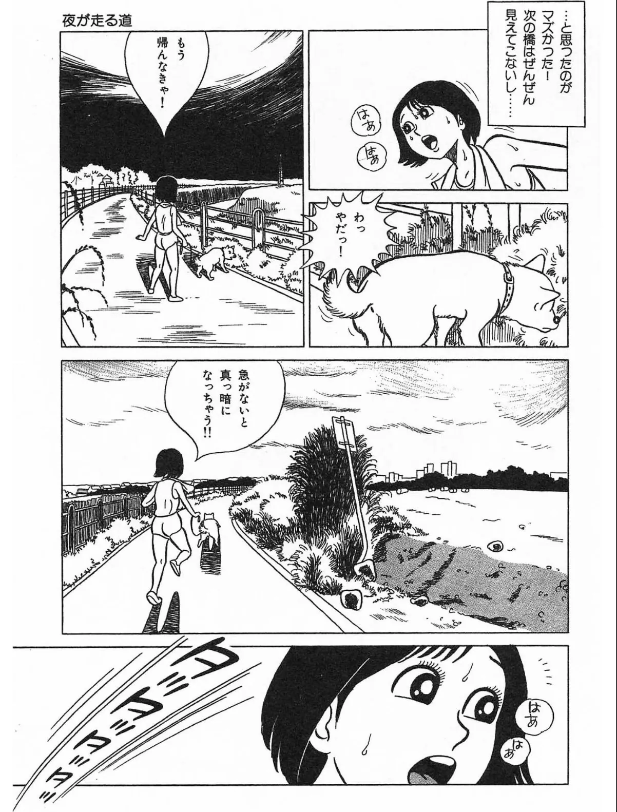 sample 5