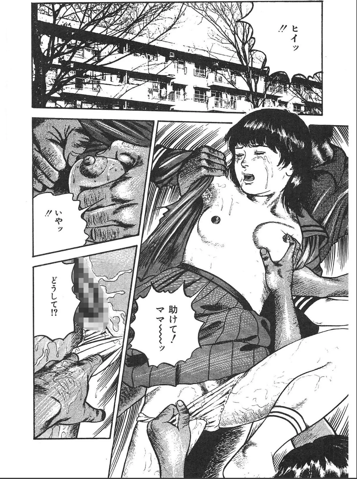 sample 12