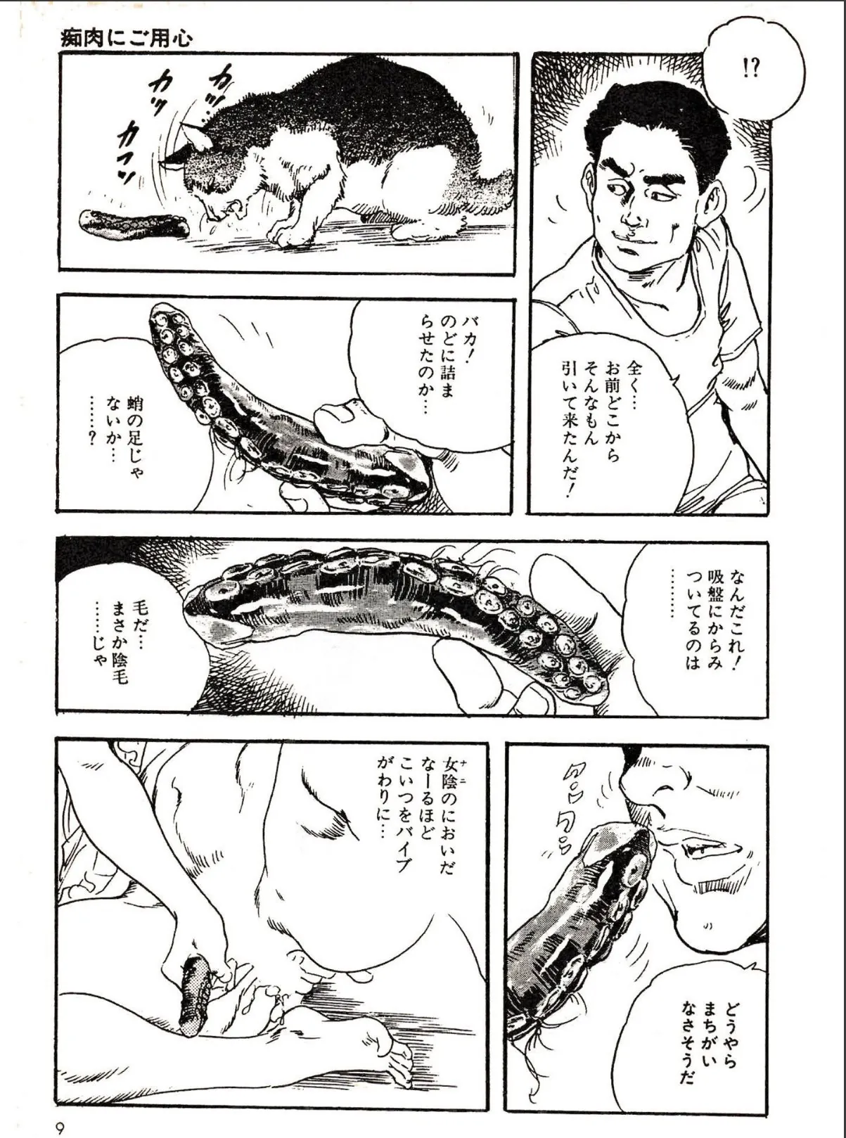 sample 5