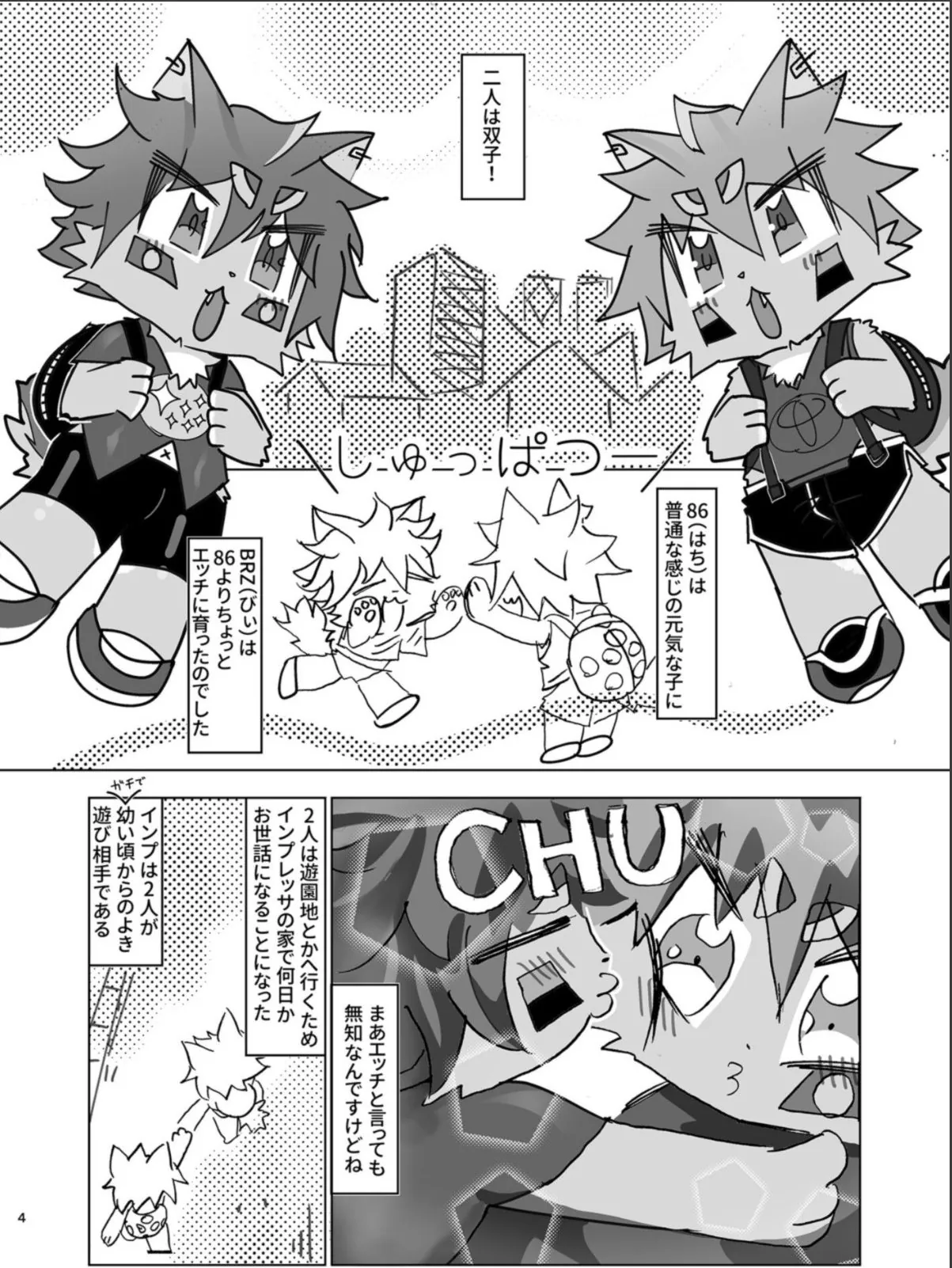 sample 4