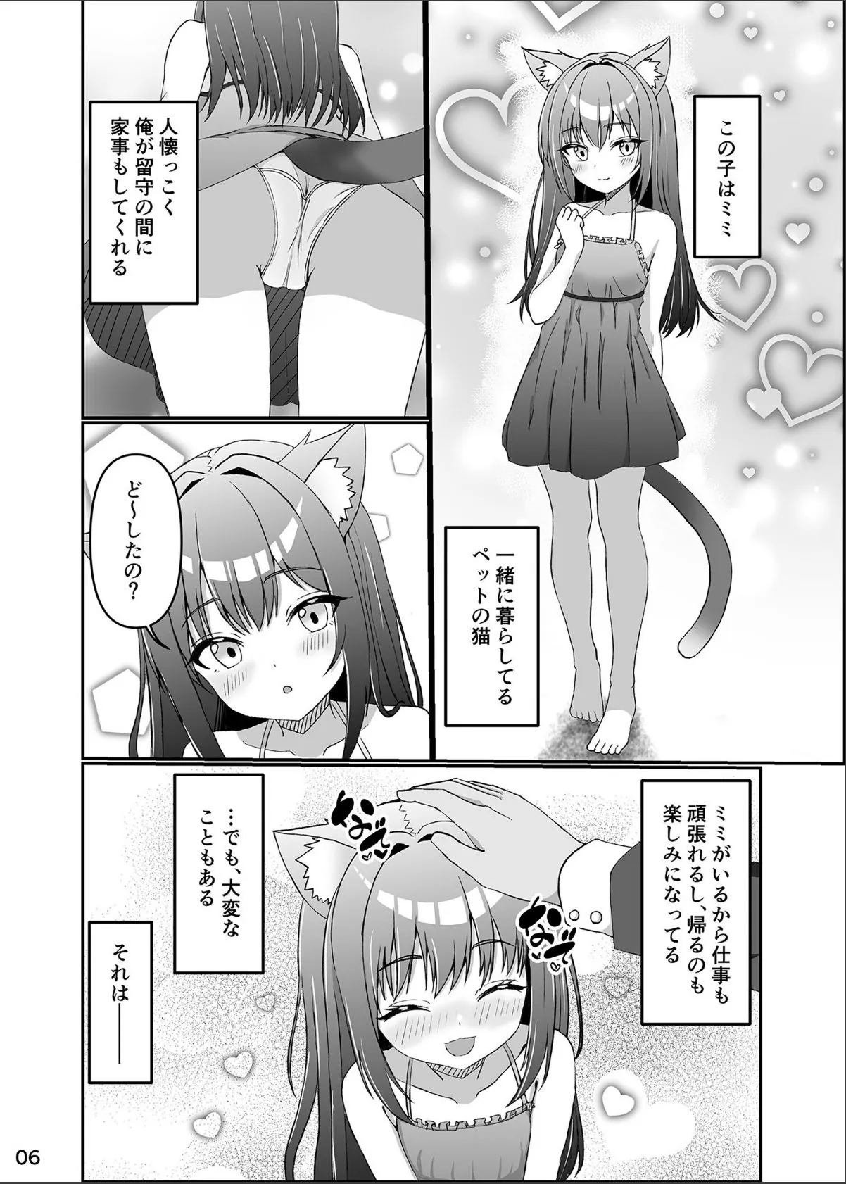 sample 5