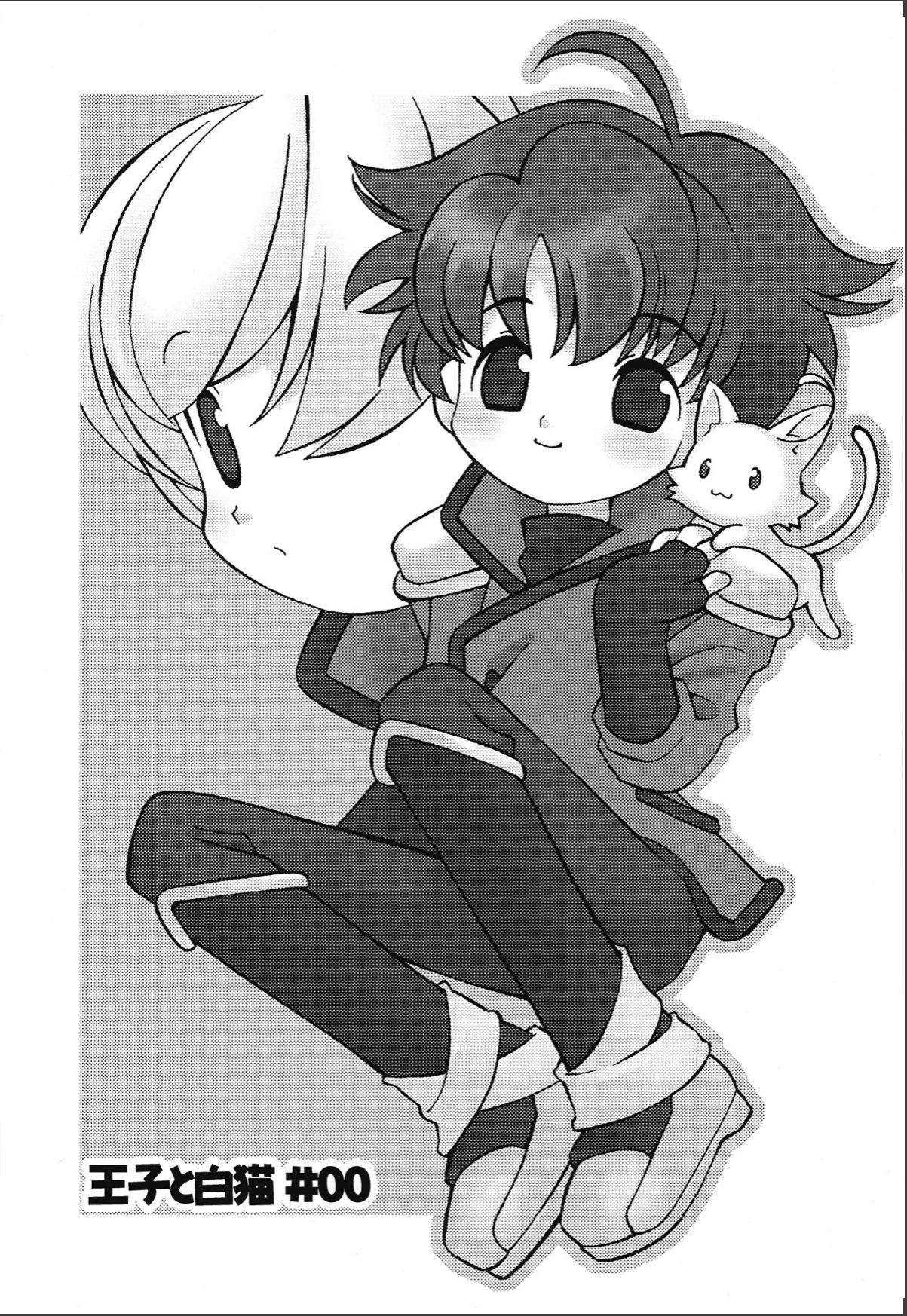 sample 3