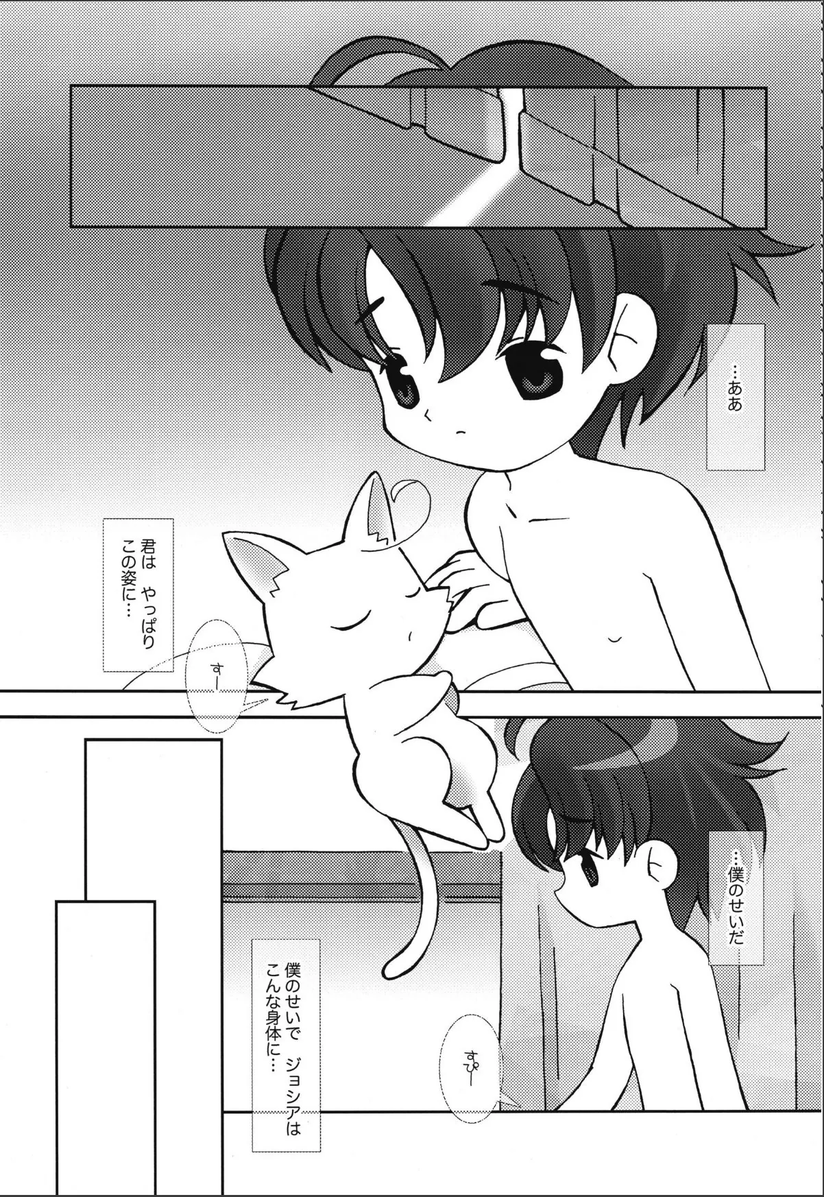 sample 5
