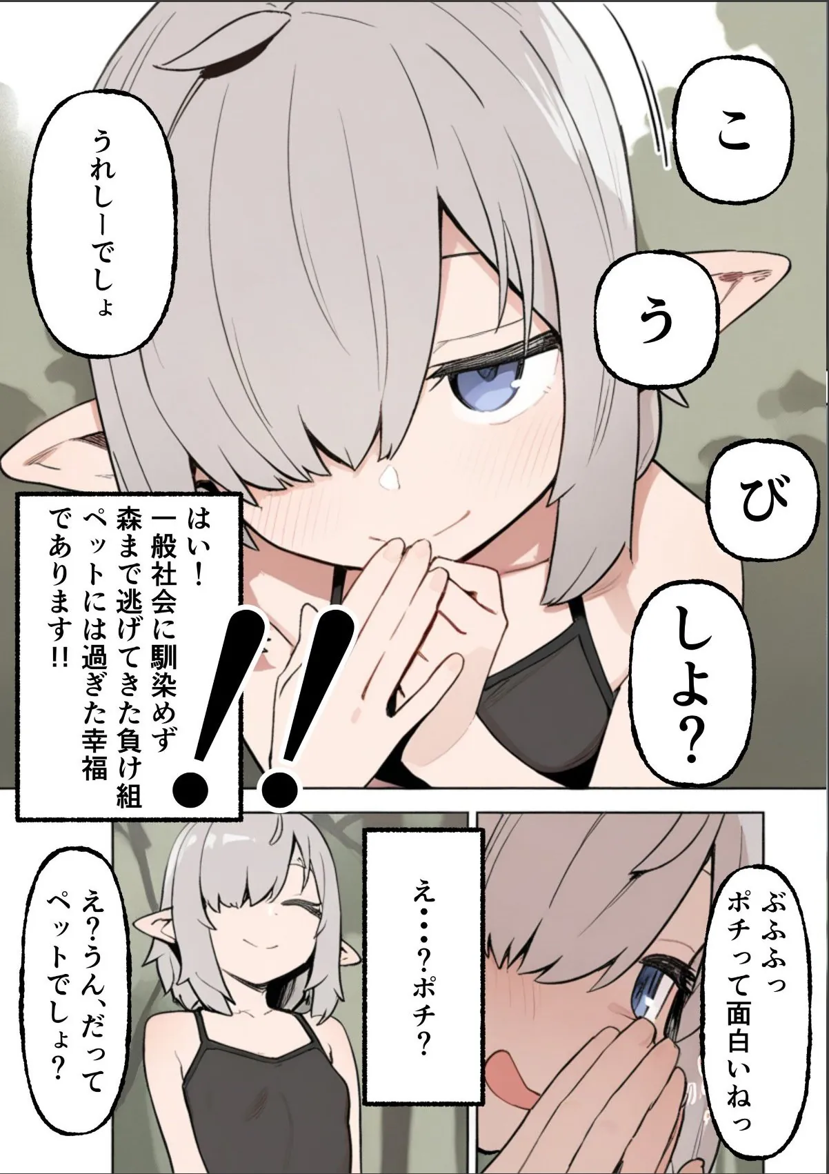 sample 8