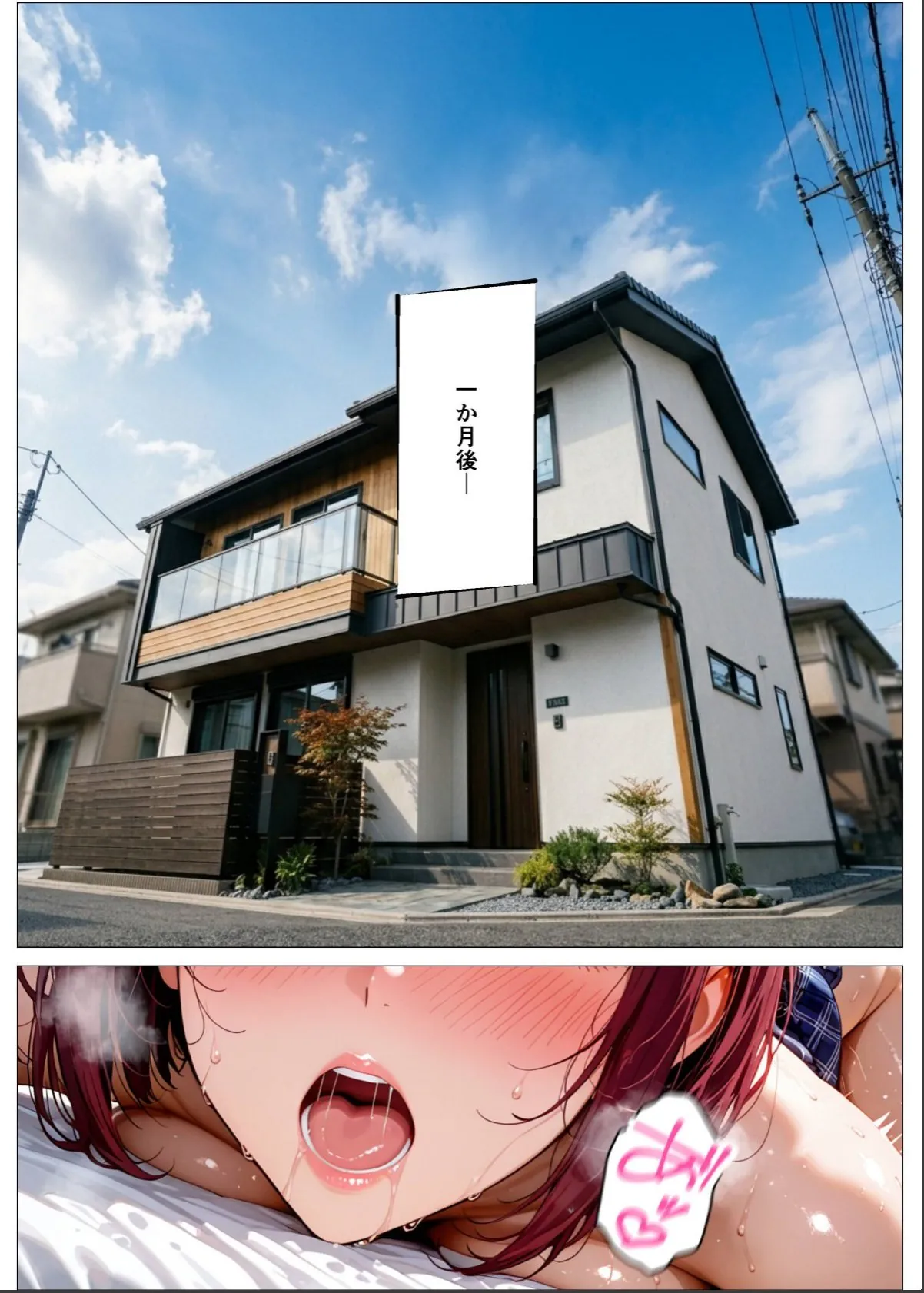 sample 12
